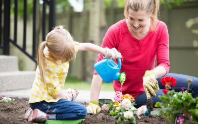 What Flowers Should You Plant For The Summer?