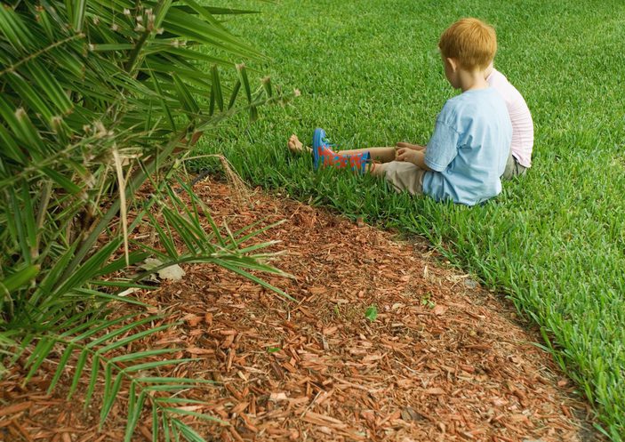 Mulched Garden Bed